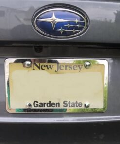 Rust Resistant Stainless Steel License Plate Frame Screws Fasteners + Chrome Screw Caps 20 418nGc86pfL