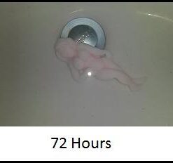 Alternative view of Forum Novelties Grow a Girlfriend Gag Novelty (Packaging May Vary)