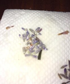 TMT Lavender Flowers Ultra Blue Grade, 1/2 lb 27 419wXXh21fL