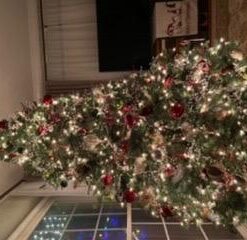 Kurt Adler 6' Plastic Ice Wire Clear Garland (Clear, 1 Pack) 52 41BHxp51fgL