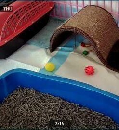 Purina Yesterday's News Non Clumping Paper Cat Litter, Unscented Low Tracking Cat Litter - 30 lb. Bag Original Texture 41 41Bwbfw83L