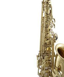 Prelude Student Model AS711 Alto Saxophone by Conn-Selmer MultiColored 11 41CyZjLiJL