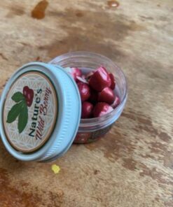 The Travel Jar, Miracle Berry As Seen On TV & Tiktok, Premium Ledidi Fruit By Nature's Wild Berry, Turn Sour Sweet With Flavor Changing Berries aka "Magic Berries" 1 Ounce (Pack of 1) 30 41DKf9x1MrL 1