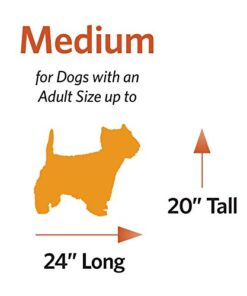 Medium Dog Crate | MidWest Life Stages 30" Double Door Folding Metal Dog Breed Crate | Divider Panel, Floor Protecting Feet & Dog Pan | 30.6L x 19.3W x 21.4H Inches 30.6"L x 19.3"W x 21.4"H Lifestages; Double Door 32 41DzCnTtJ3L 10