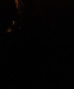 G-Shock G-Rescue Series Red Dial Men's Watch G-7900A Multi One Size 52 41E9munnYL