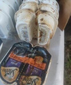 Sheba Wet Food PERFECT PORTIONS Paté Adult Wet Cat Food Trays (24 Count, 48 Servings), Delicate Salmon Entrée, Easy Peel Twin-Pack Trays , 1.32 Ounce (Pack of 48) 1.32 Ounce (Pack of 48) 35 41Ef1OMJosL