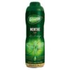 Mint Teisseire Concentrated Mint Syrup for drinks, sodas, and flavoring teas, 600 ml / 20 fl oz., Mint 20.29 Fl Oz (Pack of 1)