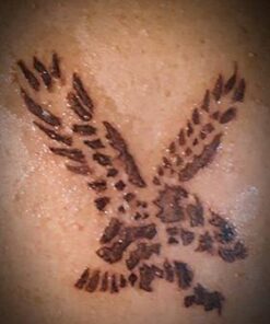 Dragonhawk Traditional Pro Complete Tattoo Kit - Two Machines Gun Easy Use Color Ink Power Supplies Disposable Needles Grips Great for Beginners & Starter Tattoo Aritsts 11-85 60 41GKD6dWnPL 1