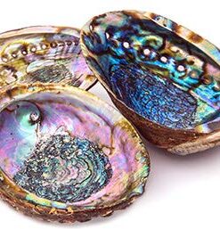 Hand Selected Abalone Shell, 6 Inches or Larger. Perfect for Holding Incense, Trinkets, and More 27 41HtG0bmcLL