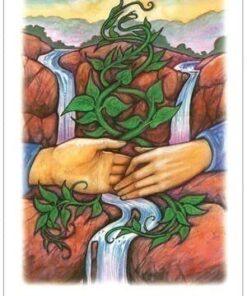 Vision Quest Tarot 35 41IBAGWao8L