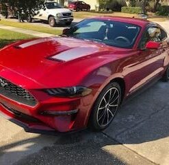 Mothers California Gold Clay Bar System for Car Detailing, Kit Includes Detailer, 3 Clay Bars, and Microfiber Towel (07240) Original Kit (3 bars) 44 41IRc9jUDzL