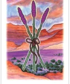 Vision Quest Tarot 33 41J4NBKDmfL