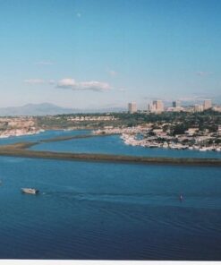Kodak Ektar 100 Professional ISO 100, 35mm, 36 Exposures, Color Negative Film 46 41JI0BCfNCL
