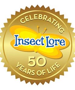 Painted Lady Butterfly Kit - Habitat, STEM Journal, & Voucher for Chrysalis Log & Caterpillars - Grow Your Own Butterfly Kit 28 41JxpD3F46L 1