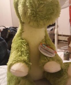 Aurora® Enchanting Dreamy Eyes™ T-rex Stuffed Animal - Captivating Gaze - Whimsical Charm - Green 10 Inches 15 41JycZzI9IL