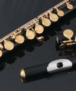 Glory Closed Hole C Flute With Case, Tuning Rod and Cloth,Joint Grease and Gloves black/Laquer Black/Gold 10 41NiSwO9 YL