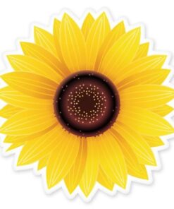 Sunflower Vinyl Sticker - Car Phone Helmet - Select Size (A) X-Small: 2"