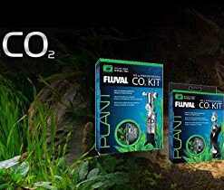 Fluval 88g-CO2 Bubble Counter - 3.1 Ounces 3.1 OZ 8 41PVSiFv2FL