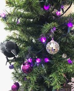 PREXTEX 6pcs Black-Feathered Small Crows Halloween Decorations | Outdoor&Indoor Decor | Fake Bird, Halloween Birds, Scary Ravens, Decorative Crows, Raven | Home, Fence, Porch, Tree, Party Decoration 42 41PztGeY8L