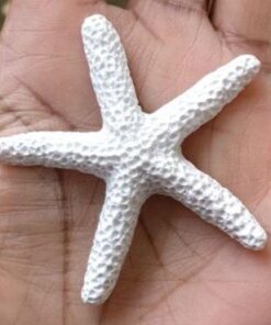 SUBANG 20 Pieces Starfish 2.3 Inch White Resin Sea Star Fake Starfish for Wedding Decor Beach Theme Party, Home Decorations,DIY Crafts, Fish Tank 2.3inch 28 41RAoIUZgBL