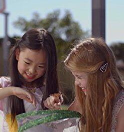 Painted Lady Butterfly Kit - Habitat, STEM Journal, & Voucher for Chrysalis Log & Caterpillars - Grow Your Own Butterfly Kit 31 41RPVOZJ1tL