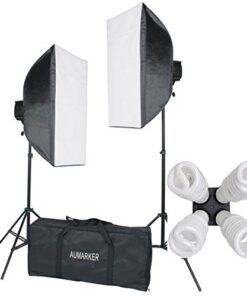 StudioFX H9004SB2 2400 Watt Large Photography Softbox Continuous Photo Lighting Kit 16" x 24" + Boom Arm Hairlight with Sandbag H9004SB2 by Kaezi 30 41RY6psOQVL