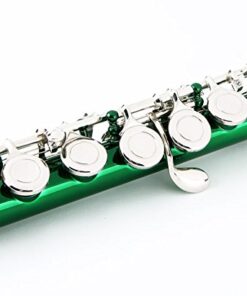 Glory Closed Hole C Flute With Case, Tuning Rod and Cloth,Joint Grease and Gloves Green 16 41Rixo5WlIL