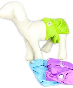 Alternative view of Pet Magasin Reusable Female Dog Diapers Panties, 3 Pack, Blue Green & Purple, Small Solid Small (11”-16” Waist)
