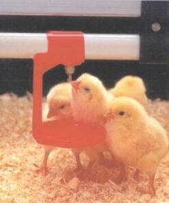 25 Automatic Chicken Water Nipple Drinker Feeders Poultry Hen Screw Style 28 41SqIuzfERL