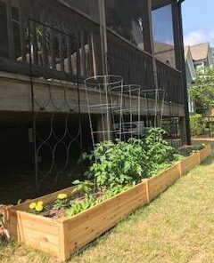 Giantex Raised Garden Bed Planter, Wooden Elevated Vegetable Planter Kit Box Grow for Patio Deck Balcony Outdoor Gardening, Natural 97"Lx25"Wx10"H Rectangular 38 41T gUKAJL