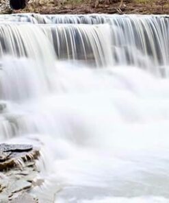 ZOMEI Heavy Duty Camera Tripod Travel Z818 Aluminium Alloy Monopod with 360 Panorama Ball Head Quick Release Plate(Orange) Orange 30 41UE0Ab0W L