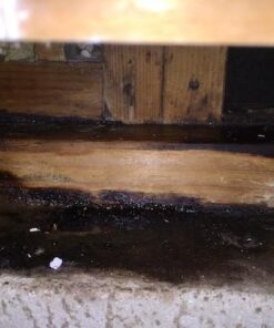 Nature's Miracle Advanced Formula Severe Stain & Odor Remover 14 41UX3uy7TL