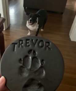 Alumilite Amazing Casting Resin, 16-Ounce(8 Ounce each) 1 White 29 41UgfT4iOJL