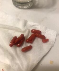 Qunol Mega Ubiquinol CoQ10 100mg, Superior Absorption, Patented Water and Fat Soluble Natural Supplement Form of Coenzyme Q10, Antioxidant for Heart Health, 120 Count (Pack of 1) Softgels 120 Count (Pack of 1) 31 41VqkxD7SL