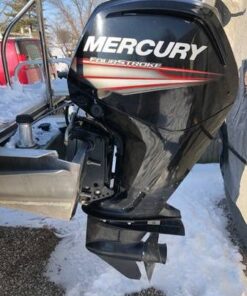 Quicksilver 879885Q in-line Fuel Filter for Mercury and Mariner Outboards 11 41WL1ccaJL