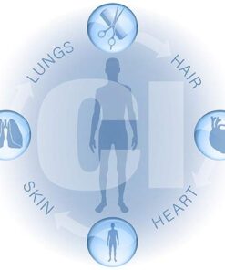 Waterwise Deluxe Showerwise Filtration System (1195) 11 41WRDr538XL