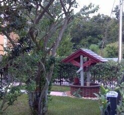 Scotts Turf Builder Starter Fertilizer for New Grass, Use When Planting Seed, 5,000 sq. ft., 15 lbs. Standard 5,000 sq. ft. 48 41XT41lBL