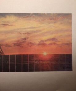 HP 564XL Black High-yield Ink | Works with DeskJet 3500; OfficeJet 4620; PhotoSmart B8550, C6300, D5400, D7560, 5510, 5520, 6510, 6520, 7510, 7520, Plus, Premium, eStation Series | CN684WN 25 41Y5qTCwLaL