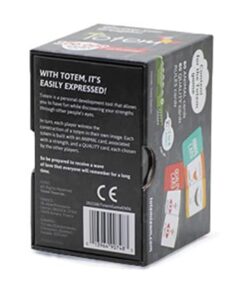 Totem the feel good game - Conversation Cards for All Ages - Communication Cards for Therapy Games, Team Building Games for Work, School, Family Game Night and Social Emotional Games 30 41YkbDZx4cL
