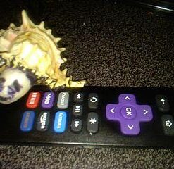 Gvirtue Lost Remote Control Replacement Compatible with Roku 1, Roku 2, Roku 3, Roku 4, (HD, LT, XS, XD), Roku Express. Do NOT Support Roku Stick, Roku Premiere, Roku Ultra, Roku TV or Roku Game 38 41ZE5PetSmL