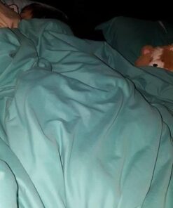 Squishable / Mini Corgi 7" Plush 12 41Zcf8piFcL