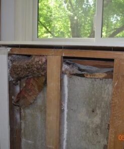 Nature's Miracle Advanced Formula Severe Stain & Odor Remover 15 41aLtJgesgL