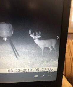 Bushnell Trophy Cam Trail Camera, Brown 16 megapixels 56 41agJS0uB8L