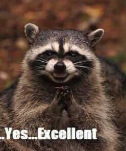 Rankie DVI to HDMI Adapter, 2-Pack Gold-Plated 1080P Male to Female Converter (Black) Black 36 41bSPd5CjJL