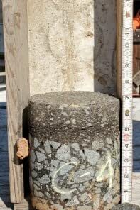 BN-LINK Outdoor 24-Hour Timer with Photocell Light Sensor, Water Resistant Photoelectric Countdown Timer(2, 4, 6 or 8 Hours Mode), Weatherproof, Two (2) Grounded Outlets for Home and Garden, Black Photocell Timer 27 41c4OnaRKhL