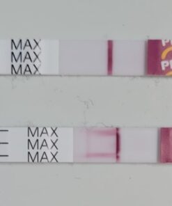 Pregmate 50 Pregnancy Test Strips (50 Count) 50 Count 57 41cNgtUDWsL