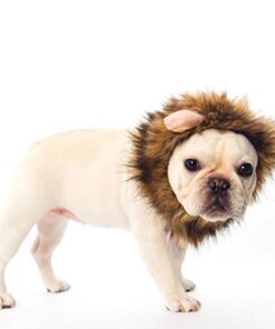 Alternative view of DOGLOVEIT Lion Mane for Cat Appreal, Pet Costume Lion Wig for Dog Cat Halloween Pet Dress up with Ears