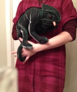 Folkmanis Chameleon Hand Puppet, Dark Green 8 41doJ8T9GHL