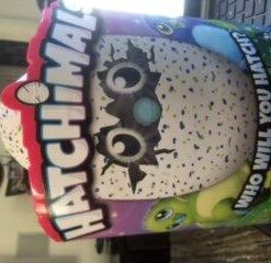 Hatchimals Draggle - Blue/Green Egg 34 41eBrwe xaL