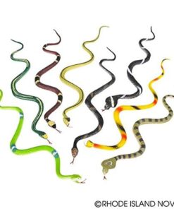 Rhode Island Novelty 14" Rain Forest Snakes | Assorted Designs | Set of 12 19 41ebGahHL